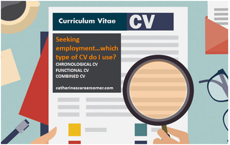 Jenis CV Lamaran Kerja 1