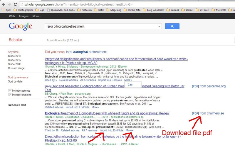 Cara mencari jurnal internasional di Google Scholar 5